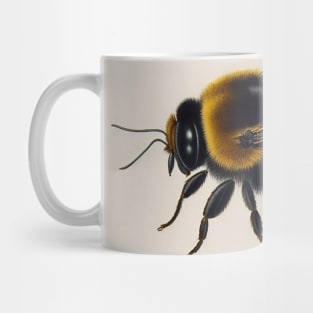 Vintage Bumble Bee Mug